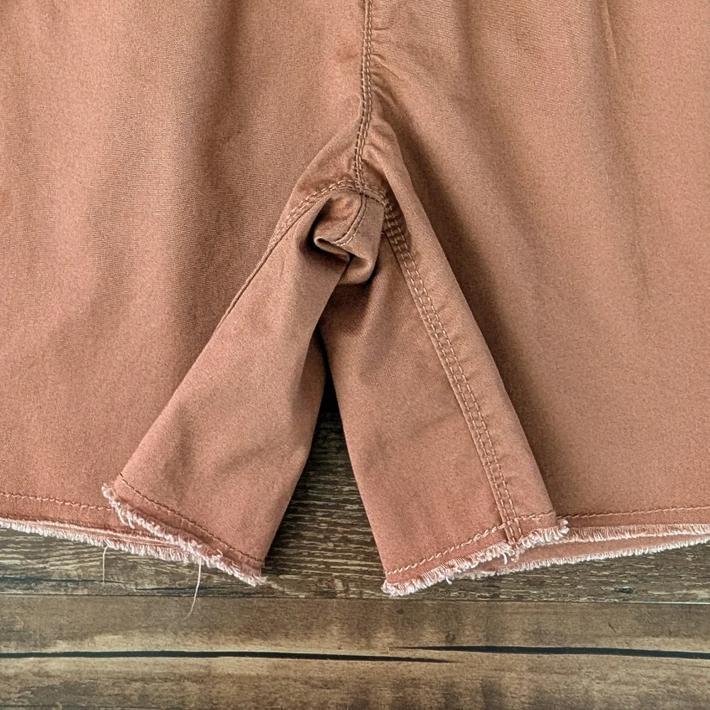 Carter's Brown Shorts
